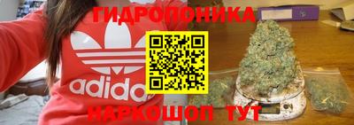 гидра Обь