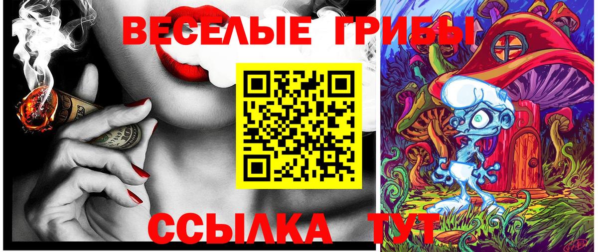 хочу наркоту  Вход с VPN  Советск  Псилоцибиновые грибы Magic Shrooms 